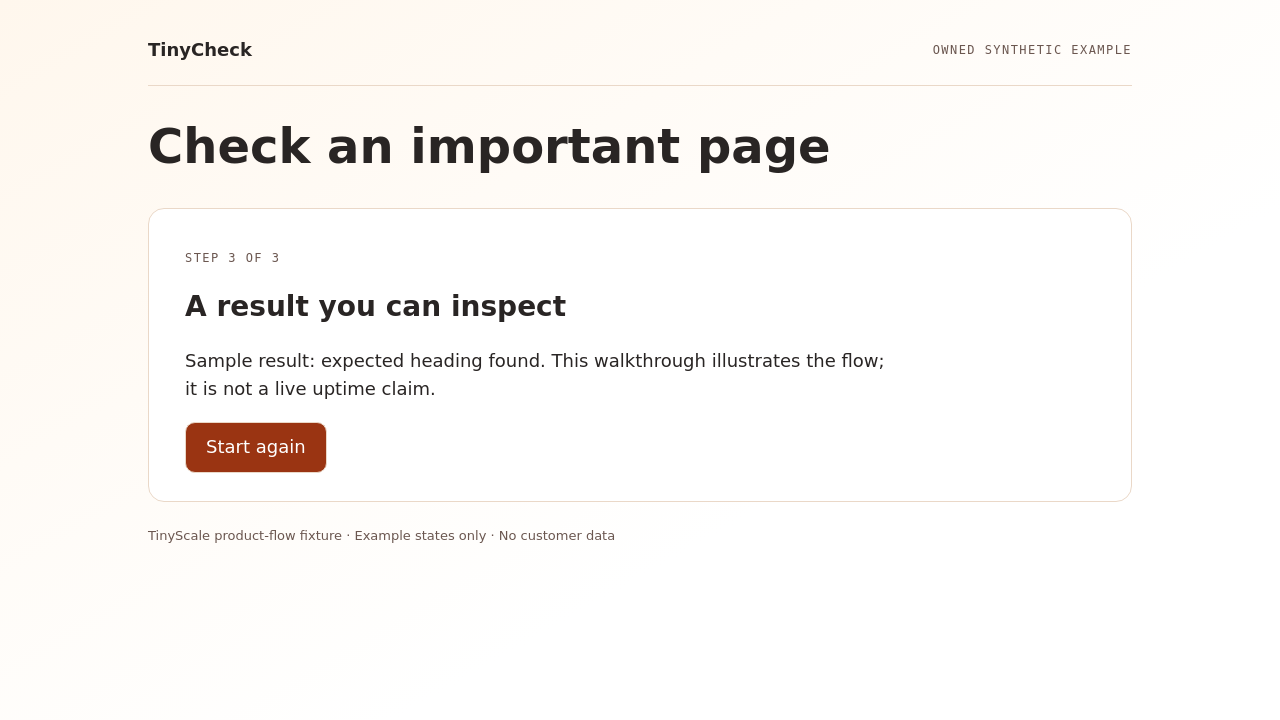 TinyCheck synthetic example: A result you can inspect